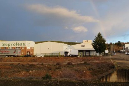 Parte de las empresas del polígono industrial de Cistierna ubicado en terrenos de Vidanes. CAMPOS