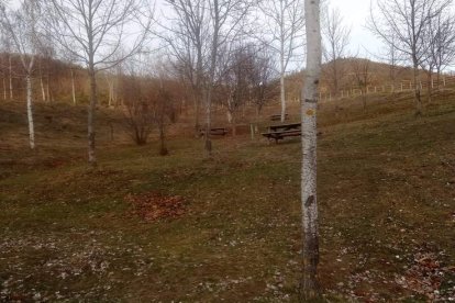 Alguna de las escenas que rodean el nacimiento del río Cea, en la faldas del Pando, cabecera de un ecosistema natural del que viven más de ciento sesenta kilómetros de cauce fluvial, y que acompaña al río en el curso que toma desde que ve la luz en los Pandos de Prioro. Esta es la aportación de uno de los lugares únicos de León a la riqueza de la provincia