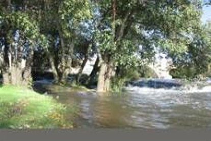 El Órbigo, cargado de agua en los últimos días, se ha metido en la playa del puente de la Vizana