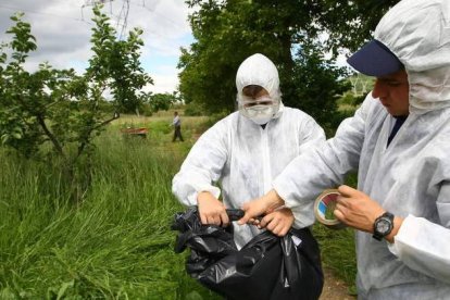 El fuego bacteriano ya causó problemas en el Bierzo.