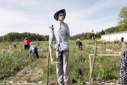 Los huertos se crearán contiguos a los que hay ya junto al coto escolar. MARCIANO PÉREZ