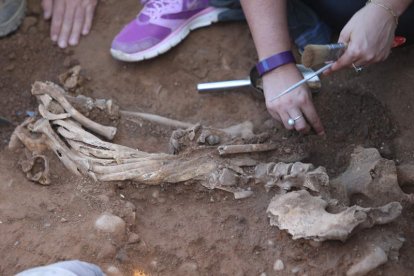 Detalle de una exhumación en el cementerio del Carmen. DE LA MATA