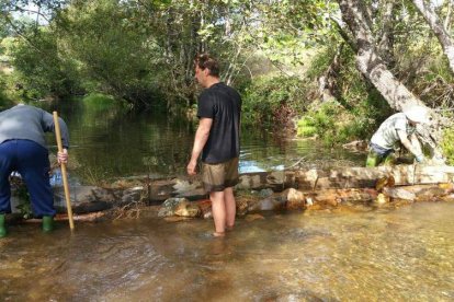 Las actuaciones por mantener la biodiversidad también se han desarrollado en el río Eria. DL