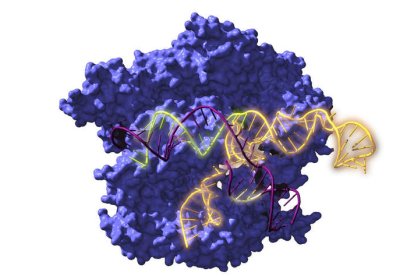 Edición genética con tecnología bioinformática. EFE