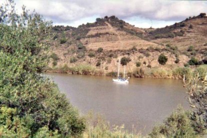 Río Guadiana.