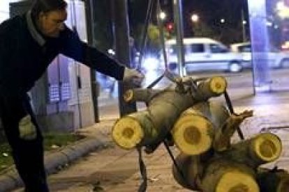 Un operario retira el chopo caído ayer en Madrid a causa del temporal