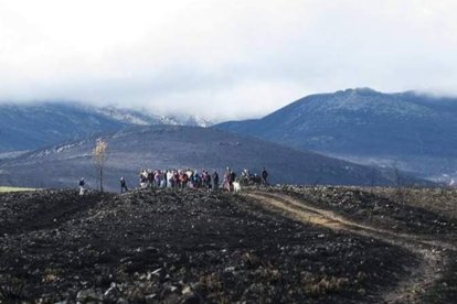 Marcha civil en la zona afectada por el fuego. DL