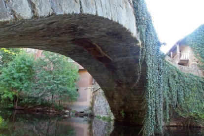 Puente romano de Torre del Bierzo cubierto por una enredadera