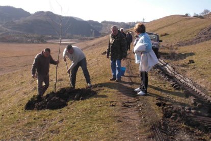 Varios vecinos colaboran en los trabajos llevados a cabo para restaurar la zona.