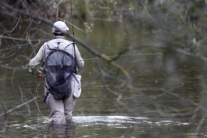 Un pescador en una jornada de actividad en los ríos de la provincia leonesa. FERNANDO OTERO