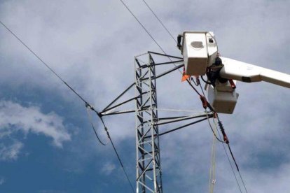 Adecuación de una torre de electricidad en la comarca de la Noguera para frenar la mortalidad de aves.