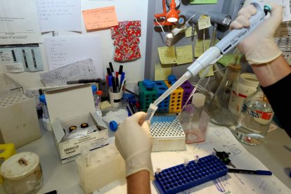 Un laboratorio de la Universidad de León. MARCIANO PÉREZ