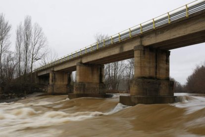 El Bernesga, ayer en Alija, aguas abajo de León. FERNANDO OTERO