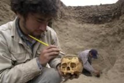 Un arqueólogo limpia la calavera de una momia