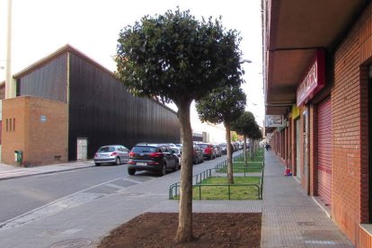 Los nueve parterres disminuirán su tamaño para ampliar la acera.