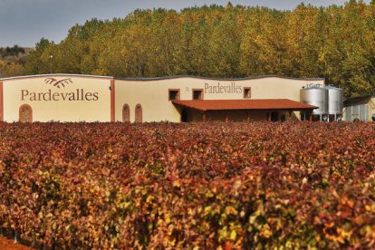 Imagen de la bodega Pardevalles de Valdevimbre, ubicada entre viñedos. RAMIRO