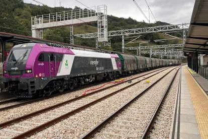 Tren de mercancías en la plataforma de la Variante. ADIF