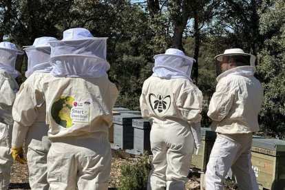 Colmenar de Guadalajara donde ya se monitoriza la población de abejas ibéricas. PROYECTO SMART BEES