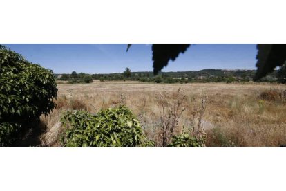 La urbanización abarca 432.000 metros cuadrados en la cuña de terreno formada por el parque de La Granja, la avenida de La Serna y la ronda Este. RAMIRO