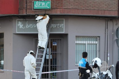 Foto de archivo de un enjambre de abejas. L. DE LA MATA