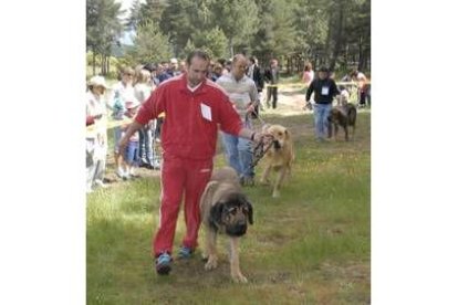 Los propietarios desfilan con sus perros a lo largo del concurso