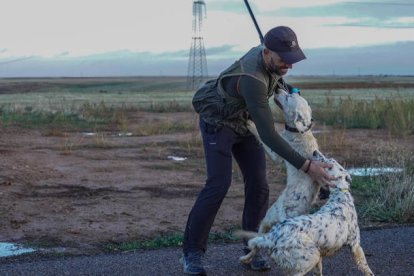 Un cazador con sus dos perros durante una jornada de caza. MIGUEL F. B.