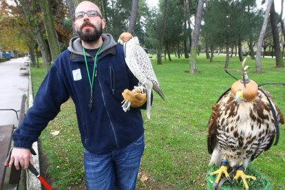 Imagen de 2009 en el Plantío con suelta de halcones. L. DE LA MATA