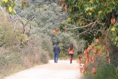 Zona de San Juan de Paluezas donde el joven de 34c años recibió un disparo mortal de su tío por una disputa por las catañas