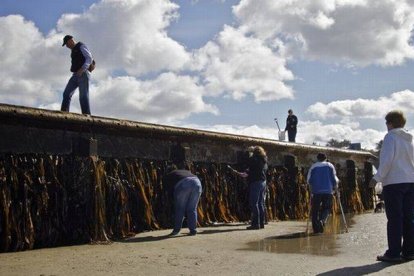 El pontón japonés que ha llegado a las costas de Oregón (EEUU).