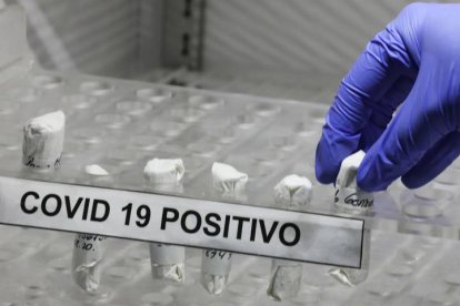 Una enfermera organiza muestras positivas de coronavirus de pacientes. CARLOS ORTEGA