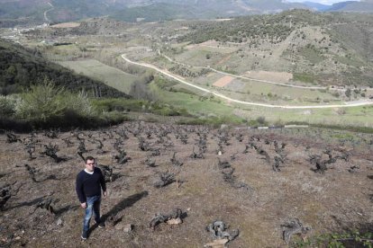 El enólogo mostraba ayer los viñedos centenarios que ha comprado en San Pedro de Trones. Puente sobresale a la izquierda. L. DE LA MATA