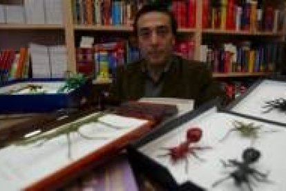 El experto en papiroflexia Manuel Sirgo, en la librería Artemis junto a varias de sus «criaturas»