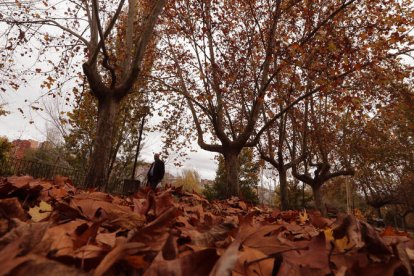 Un hombre pasea por un rincón del Bierzo. ANA F. BARREDO