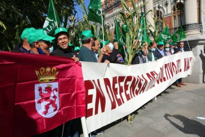 Centenares de agricultores de León y Salamanca se concentraron ayer ante la sede del Ministerio de Agricultura en Madrid, con pancartas y plantas de maíz. BENITO ORDÓÑEZ