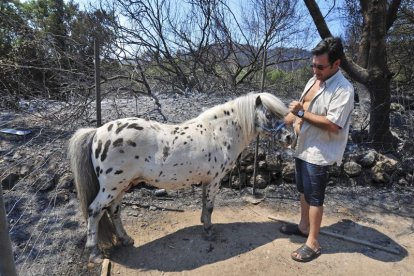 Un vecino de Viure muestra uno de los caballos que pudo sobrevivir al grave incendio.