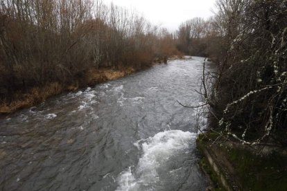 Cauce del río Torío en Manzaneda de Torío. RAMIRO