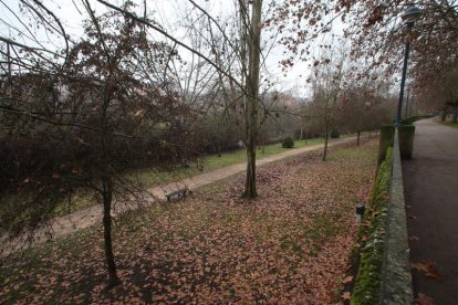 La búsqueda comenzó el lunes en el entorno del río, cerca del puente Alcalde López Gavela. L. DE LA MATA