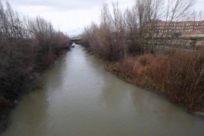 Situación del Bernesga al sur de León. RAMIRO