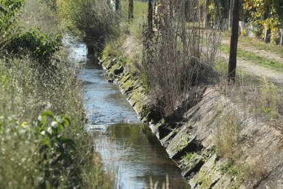 El Canal Bajo del Bierzo. L. DE LA MATA