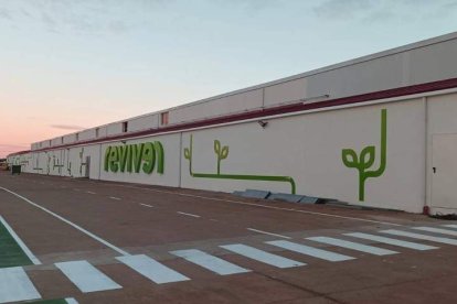 Imagen de la planta Reviver que GAM ha puesto en marcha en la antigua cerámica de Villacé, en el municipio de Villamañán. DL