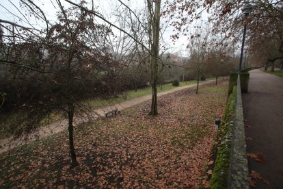 La búsqueda de la menor se ha centrado en el entorno del río Sil en Ponferrada durante las primeras horas. L. DE LA MATA