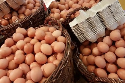 Huevos en una tienda para su venta al público