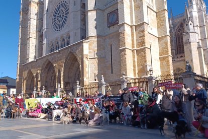 Protesta en León para acabar con la caza con perros