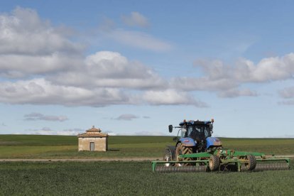 Un agricultor trabaja la tierra.