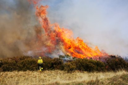 Quema controlada de los Bomberos de León