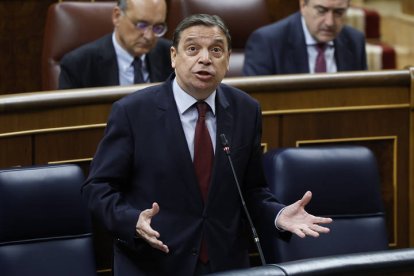 El ministro de Agricultura, Luis Planas, interviene en la sesión de control al Gobierno este miércoles en el Congreso.