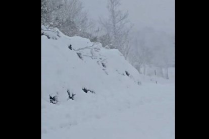 Puerto de Las Señales tras la nevada.