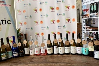 Vinos premiados por el jurado en el concurso internacional Atlantic-2024