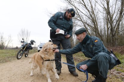 Tras la huella del hombre para poner coto al maltrato animal.