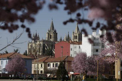 León se tiñe de colores con el buen tiempo.